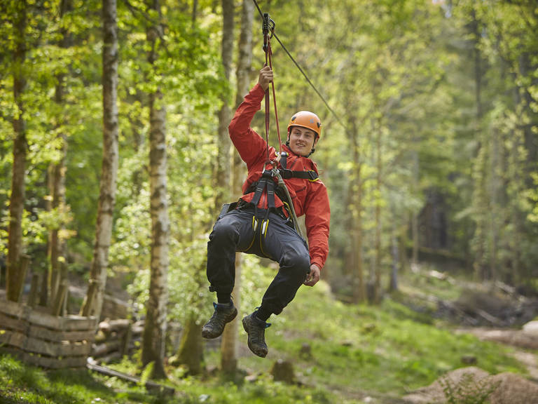 Aloft! treetops